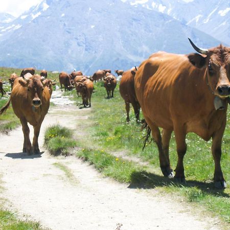 Aux Portes Du Parc National De La Vanoise Appartement Termignon Val Cenis Avec Wifi Екстериор снимка