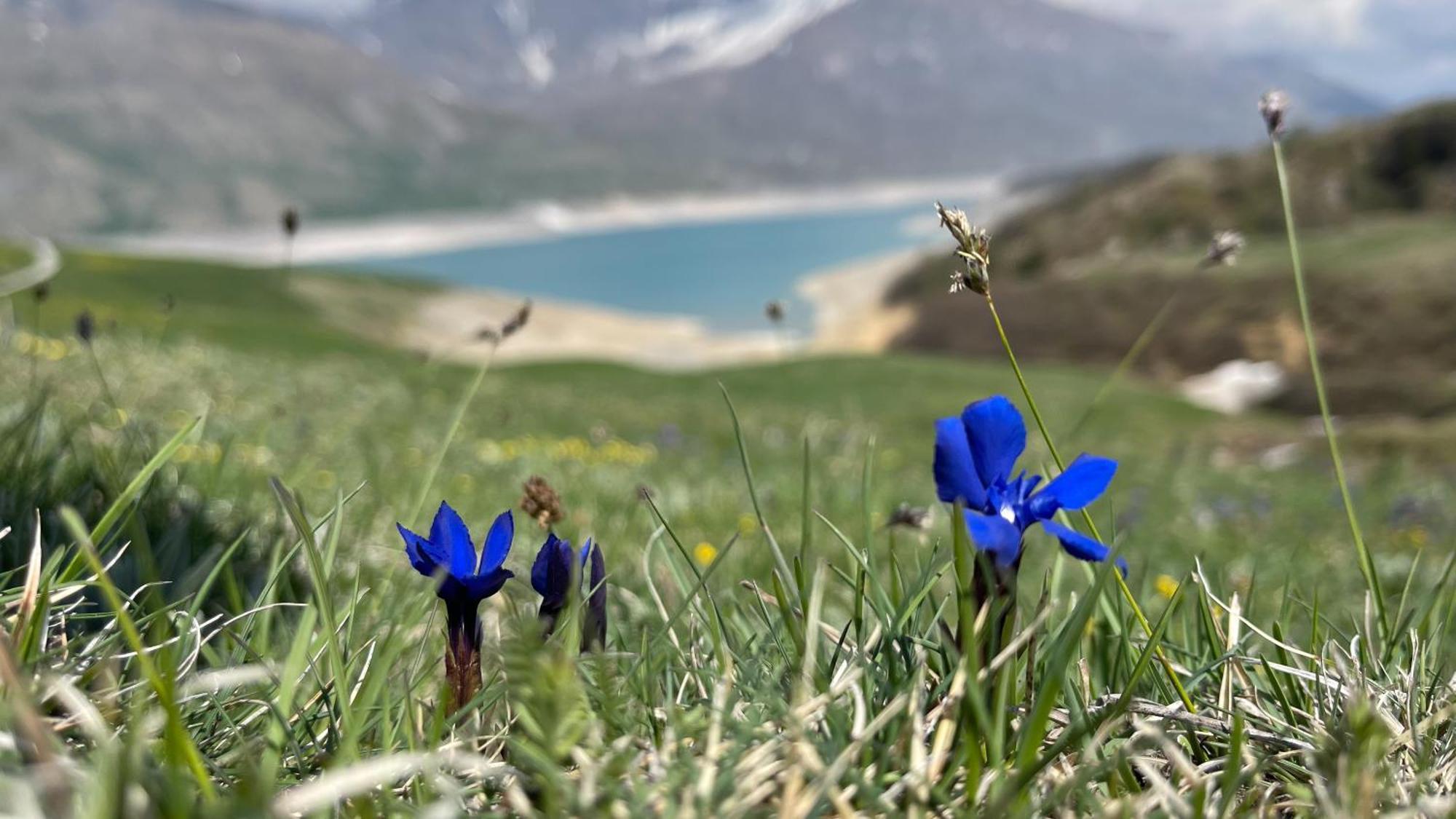 Aux Portes Du Parc National De La Vanoise Appartement Termignon Val Cenis Avec Wifi Екстериор снимка